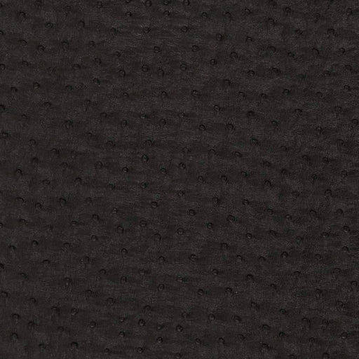 Charlotte - V620 - Ebony - Fabric by the Yard Ebony
