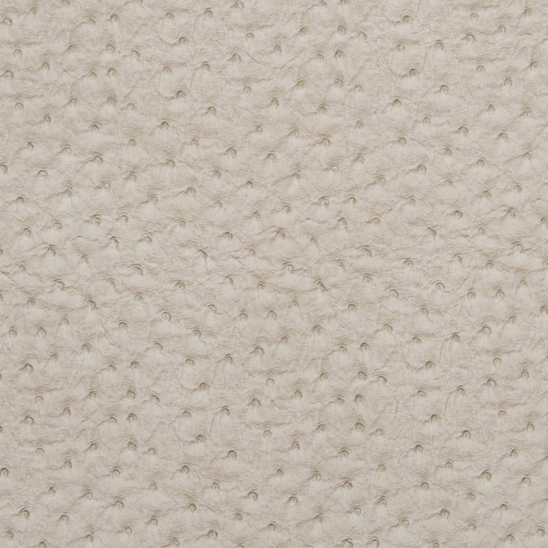 Charlotte - V621 - Fog - Fabric by the Yard Fog