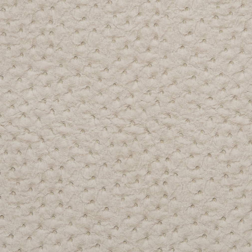 Charlotte - V621 - Fog - Fabric by the Yard Fog