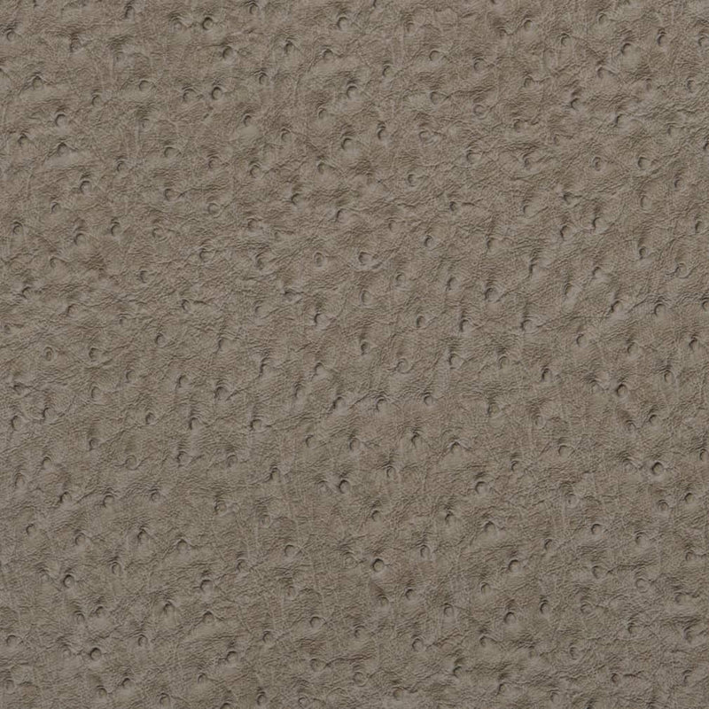 Charlotte - V622 - Pewter - Fabric by the Yard Pewter