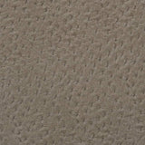 Charlotte - V622 - Pewter - Fabric by the Yard