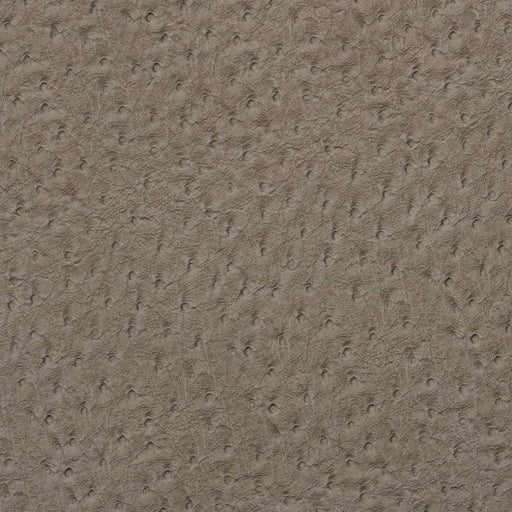 Charlotte - V622 - Pewter - Fabric by the Yard Pewter