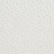 Charlotte - V623 - Cream - Fabric by the Yard Cream