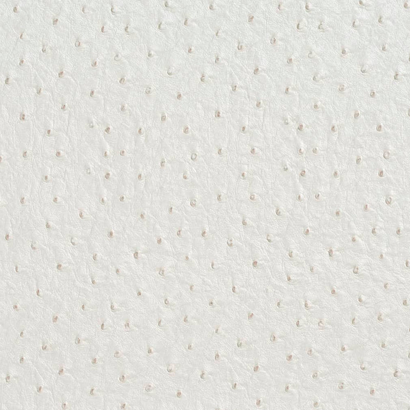 Charlotte - V623 - Cream - Fabric by the Yard Cream