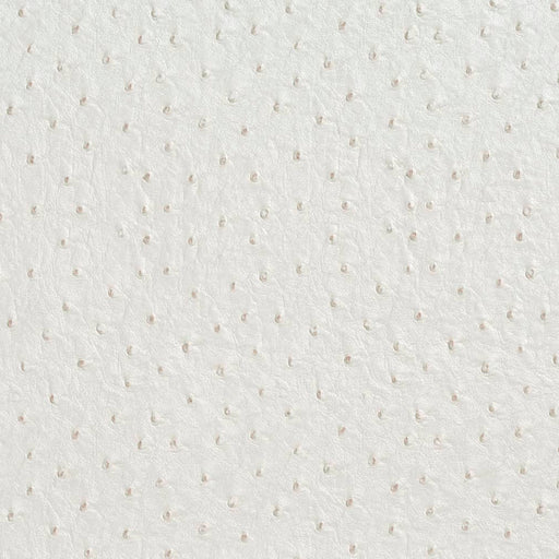 Charlotte - V623 - Cream - Fabric by the Yard Cream