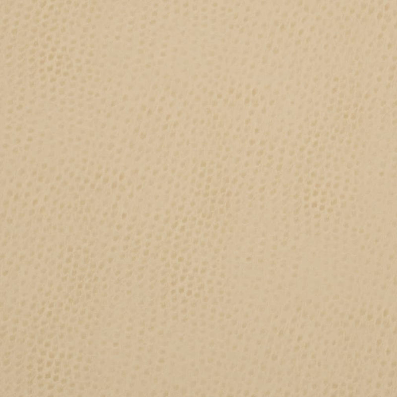 Charlotte - V626 - Parchment - Fabric by the Yard Parchment