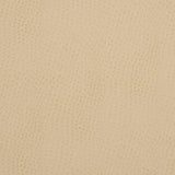 Charlotte - V626 - Parchment - Fabric by the Yard