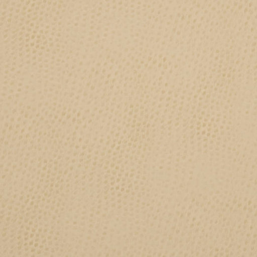 Charlotte - V626 - Parchment - Fabric by the Yard Parchment