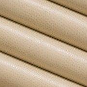 Charlotte - V626 - Parchment - Fabric by the Yard - V626 - V626_Rolled
