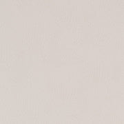 Charlotte - V627 - Natural - Fabric by the Yard Natural