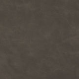 Charlotte - V632 - Char Brown - Fabric by the Yard