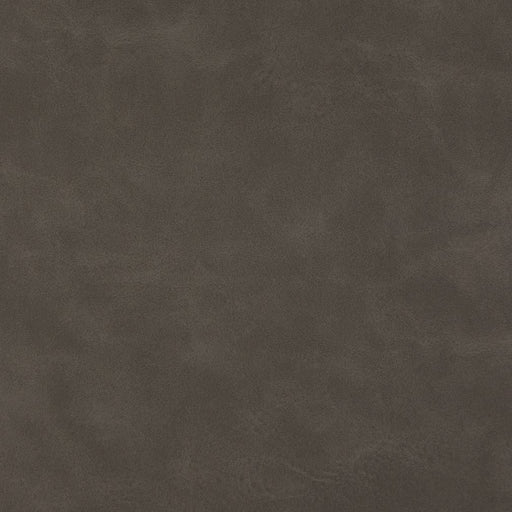 Charlotte - V632 - Char Brown - Fabric by the Yard Char Brown