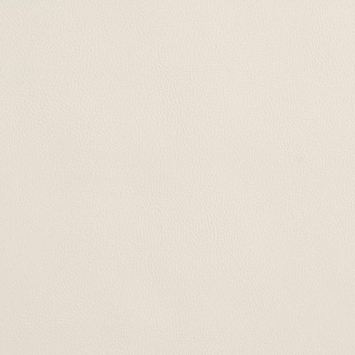 Charlotte - V636 - Natural - Fabric by the Yard Natural