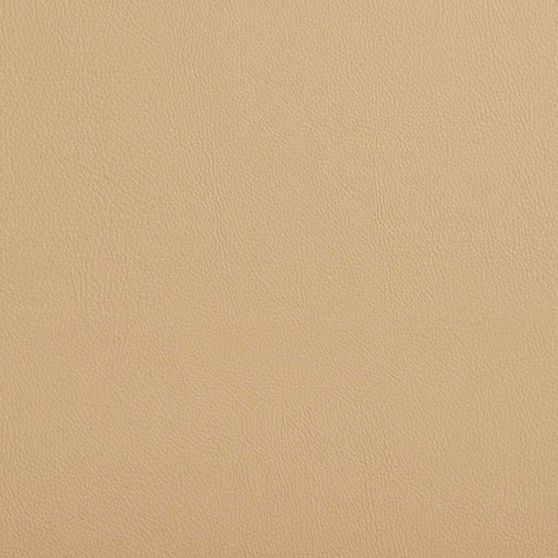 Charlotte - V637 - Dune - Fabric by the Yard Dune