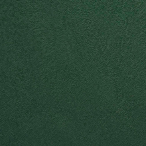 Charlotte - V639 - Spruce - Fabric by the Yard Spruce