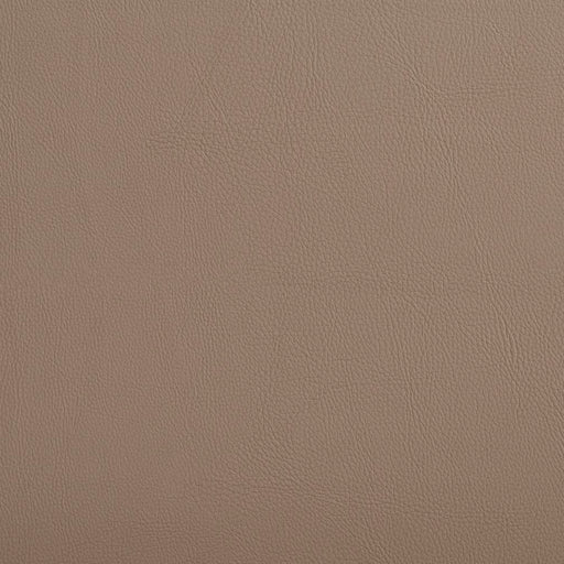 Charlotte - V641 - Taupe - Fabric by the Yard Taupe