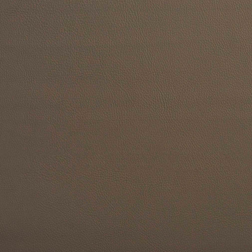 Charlotte - V642 - Stone - Fabric by the Yard Stone