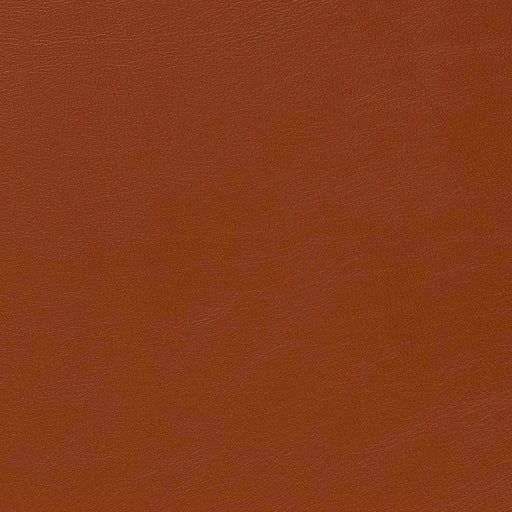 Charlotte - V643 - Saddle - Fabric by the Yard Saddle