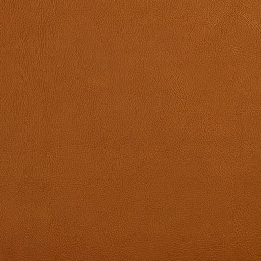 Charlotte - V644 - Palomino - Fabric by the Yard Palomino