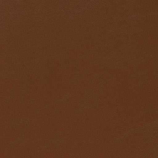 Charlotte - V645 - Canyon - Fabric by the Yard Canyon