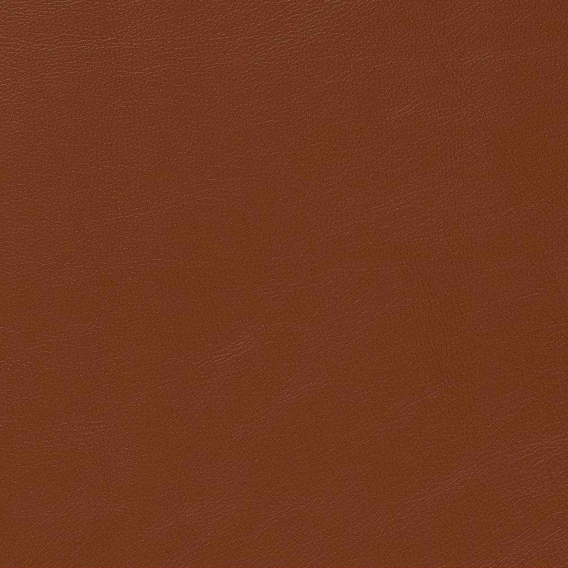 Charlotte - V646 - Adobe - Fabric by the Yard Adobe