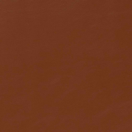 Charlotte - V646 - Adobe - Fabric by the Yard Adobe