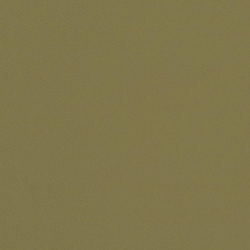 Charlotte - V660 - Sage - Fabric by the Yard Sage
