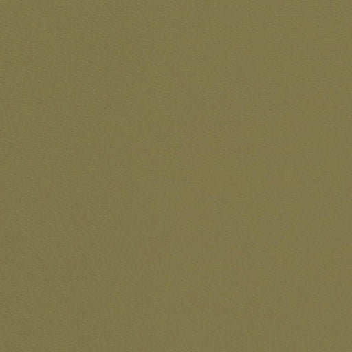 Charlotte - V660 - Sage - Fabric by the Yard Sage