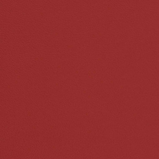 Charlotte - V662 - Cherry - Fabric by the Yard Cherry