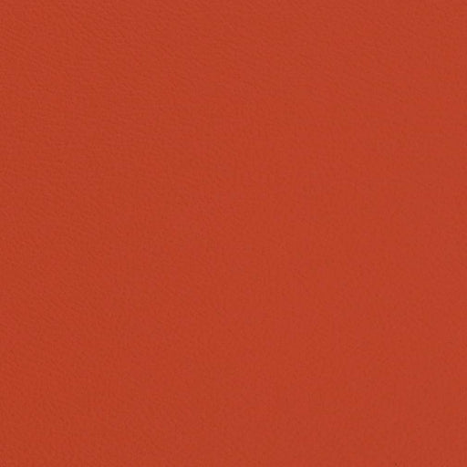 Charlotte - V663 - Vibrant Orange - Fabric by the Yard Vibrant Orange