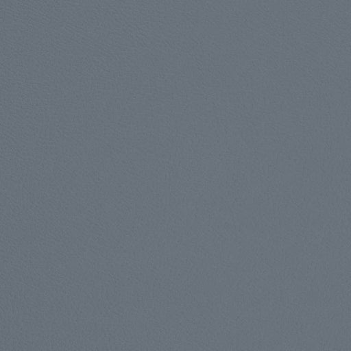 Charlotte - V664 - Sky - Fabric by the Yard Sky
