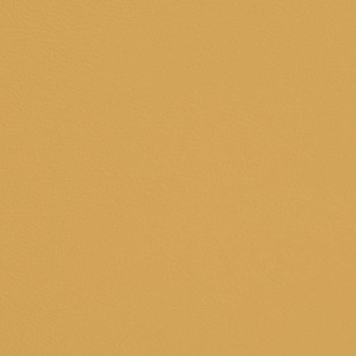 Charlotte - V666 - Canary - Fabric by the Yard Canary