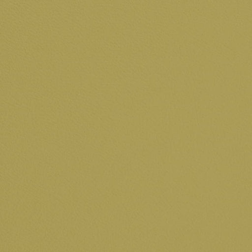 Charlotte - V668 - Pear - Fabric by the Yard Pear