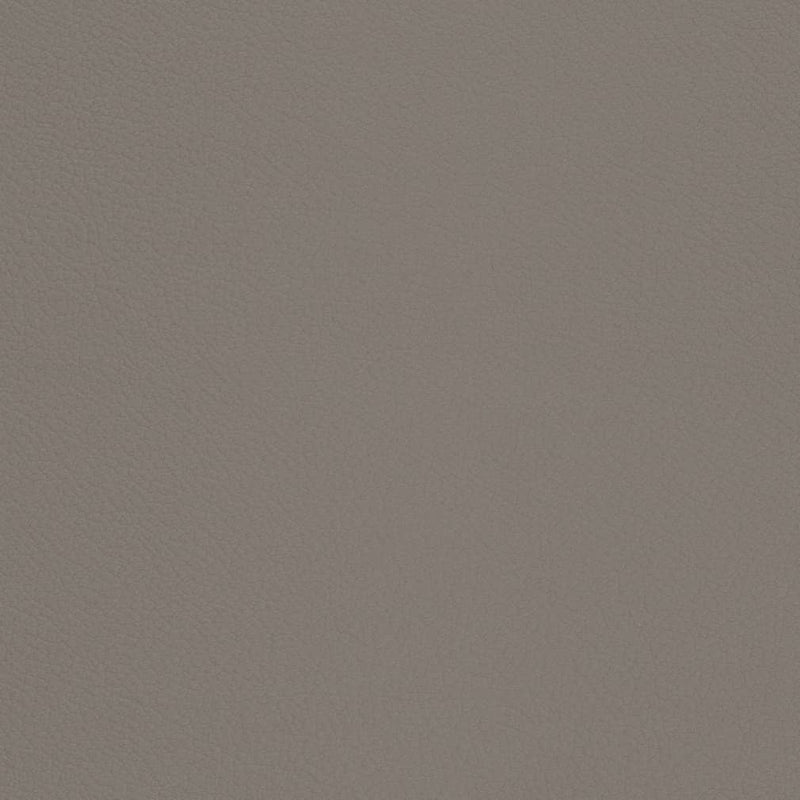 Charlotte - V669 - Pewter - Fabric by the Yard Pewter