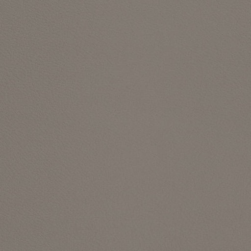 Charlotte - V669 - Pewter - Fabric by the Yard Pewter