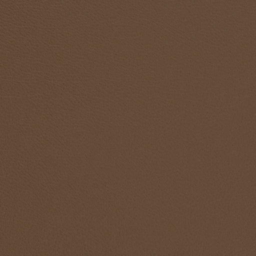 Charlotte - V672 - Bark - Fabric by the Yard Bark
