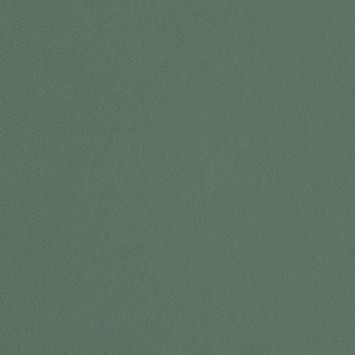 Charlotte - V674 - Capri - Fabric by the Yard Capri