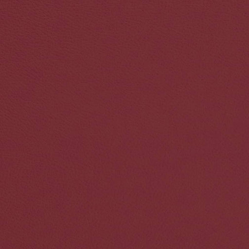 Charlotte - V675 - Scarlet - Fabric by the Yard Scarlet