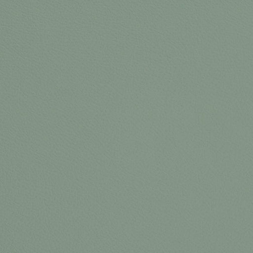 Charlotte - V676 - Cyan - Fabric by the Yard Cyan