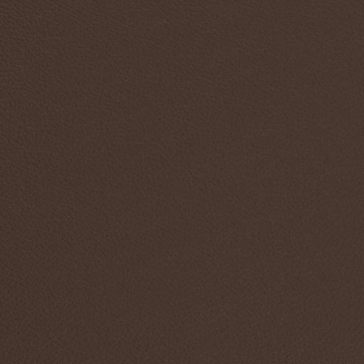 Charlotte - V677 - Earth - Fabric by the Yard Earth