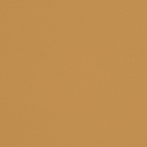 Charlotte - V678 - Flaxen - Fabric by the Yard Flaxen