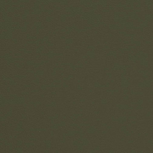 Charlotte - V680 - Moss - Fabric by the Yard Moss