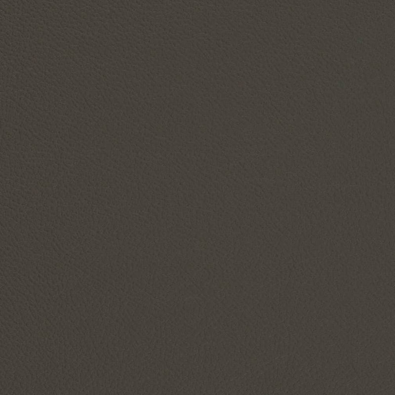 Charlotte - V681 - Iron - Fabric by the Yard Iron