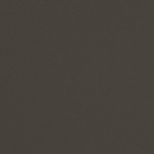Charlotte - V681 - Iron - Fabric by the Yard Iron