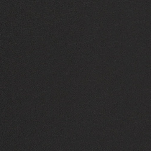 Charlotte - V682 - Onyx - Fabric by the Yard Onyx