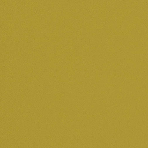 Charlotte - V683 - Chartreuse - Fabric by the Yard Chartreuse