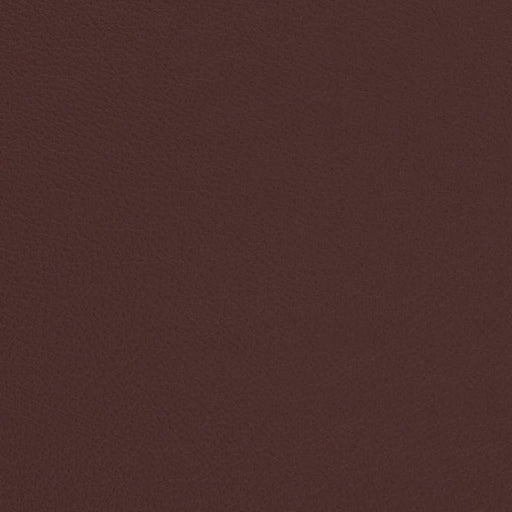 Charlotte - V684 - Merlot - Fabric by the Yard Merlot