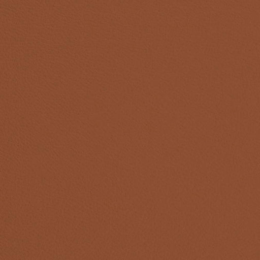 Charlotte - V685 - Rust - Fabric by the Yard Rust