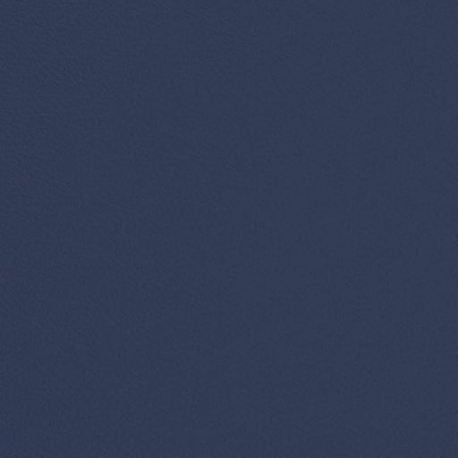 Charlotte - V687 - Admiral - Fabric by the Yard Admiral