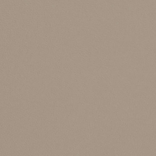 Charlotte - V688 - Smoke - Fabric by the Yard Smoke